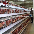Oeuf de poulet de haute qualité Cage de volaille vendue à Kampala en Ouganda